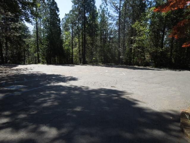 17330 Hummingbird Ln, Brownsville, CA 95919